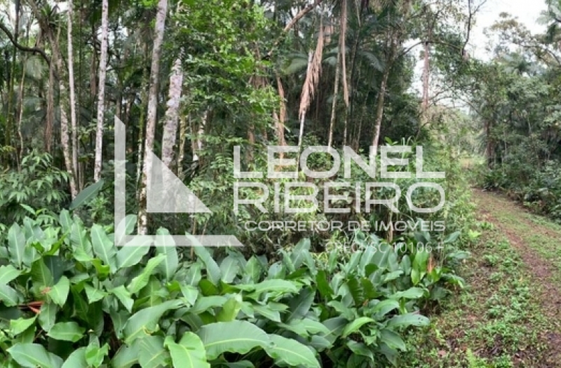 Terreno para s�tio no bairro Tiroleses