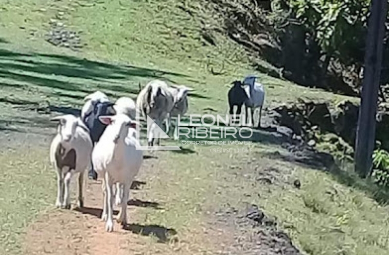 Bel�ssimo S�tio Pronto Para Morar