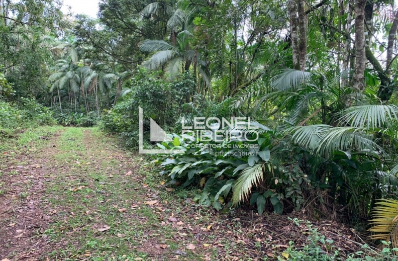 Terreno para s�tio no bairro Tiroleses