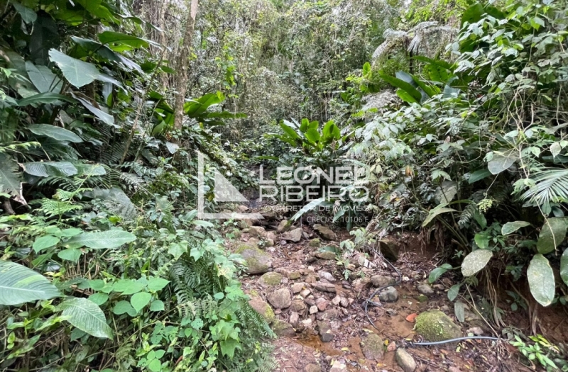 S�tio � 3km do posto Tigre