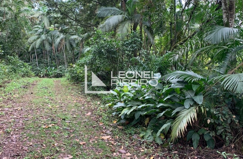 Terreno para s�tio no bairro Tiroleses