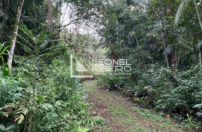 Terreno para s�tio no bairro Tiroleses