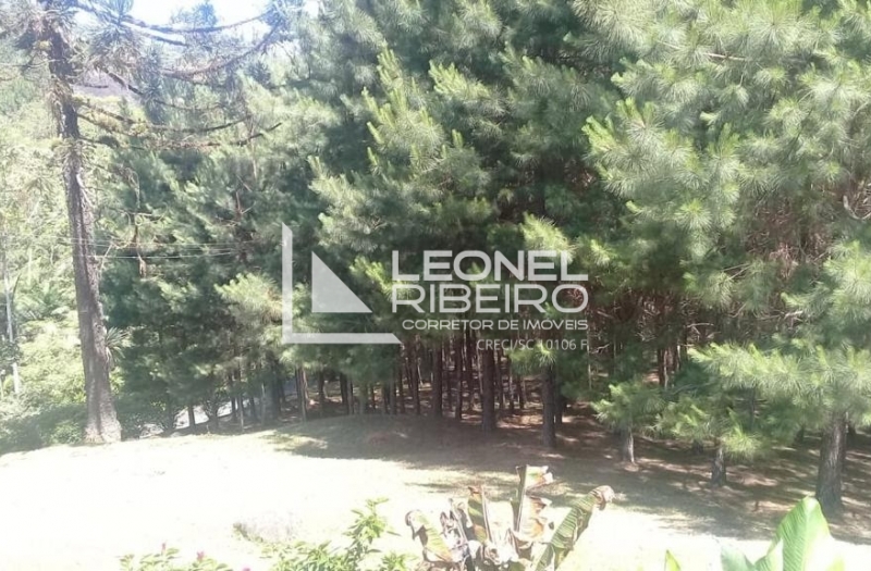 Bel�ssimo S�tio Pronto Para Morar