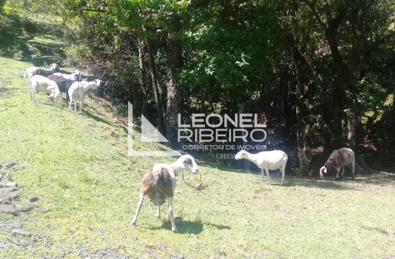 Bel�ssimo S�tio Pronto Para Morar