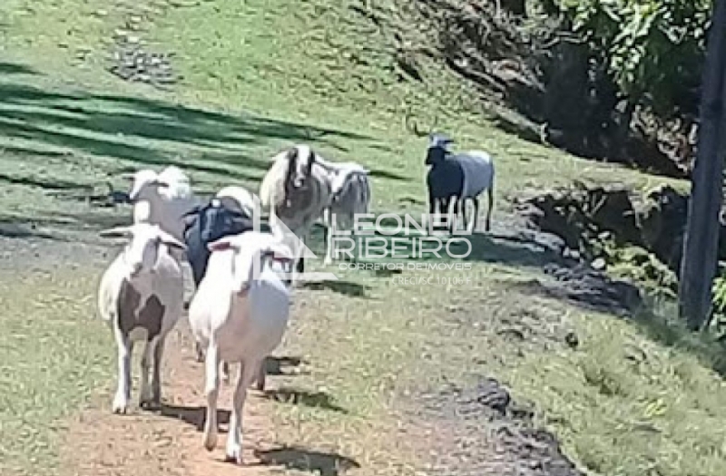 Bel�ssimo S�tio Pronto Para Morar