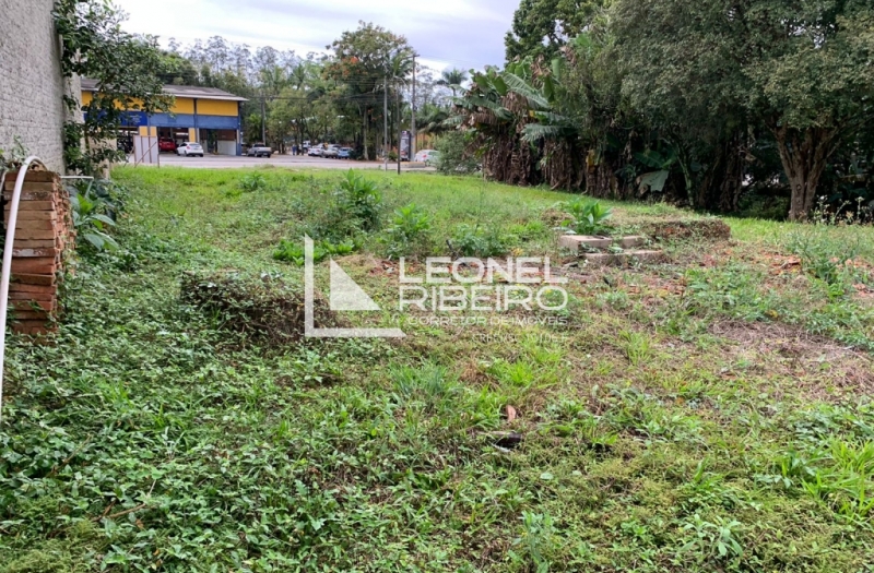 Terreno em excelente localiza��o na rua Blumenau em Timb�.